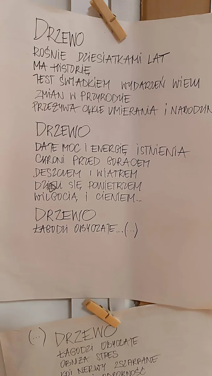 Zdjęcie 4