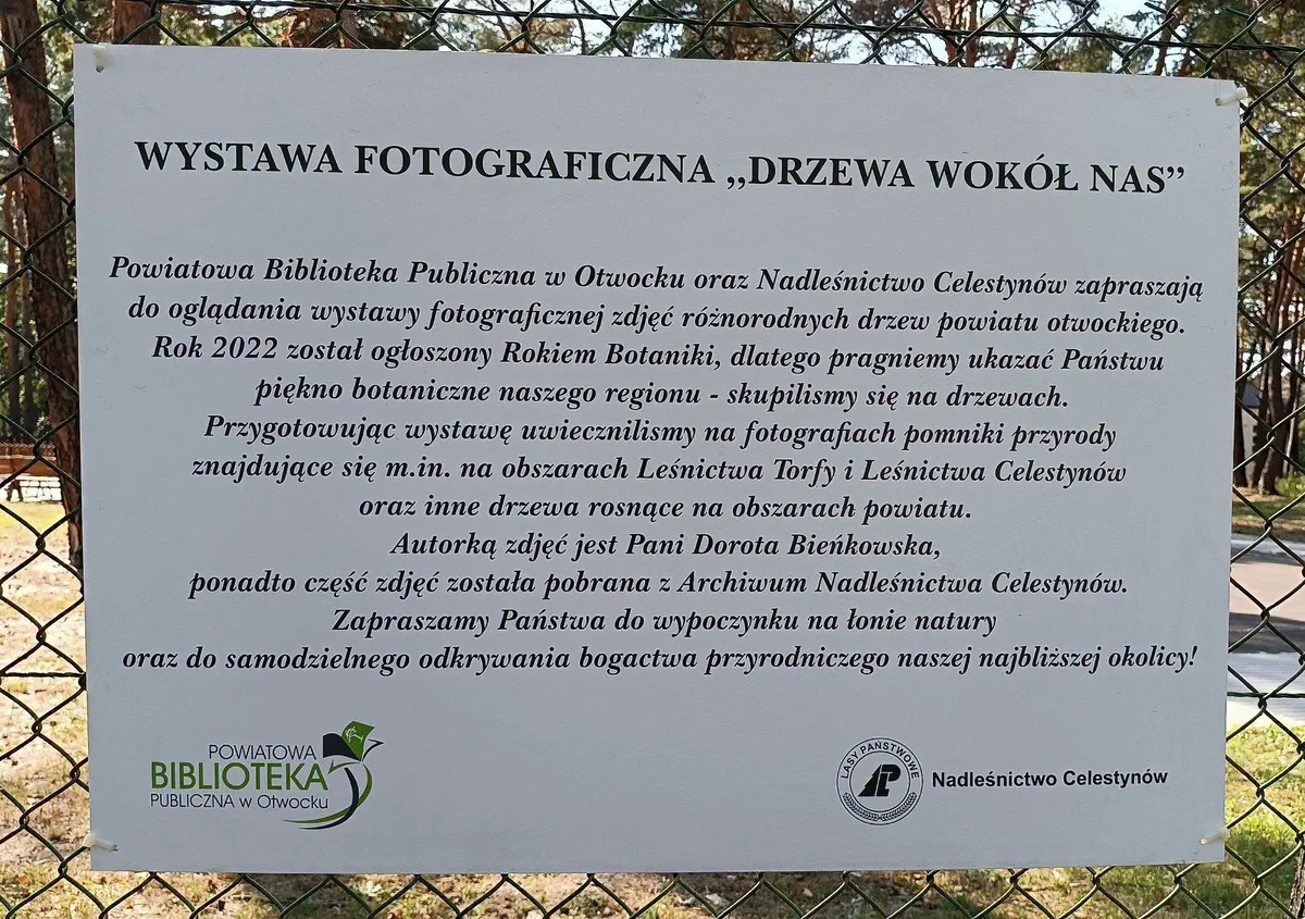 Zdjęcie 1